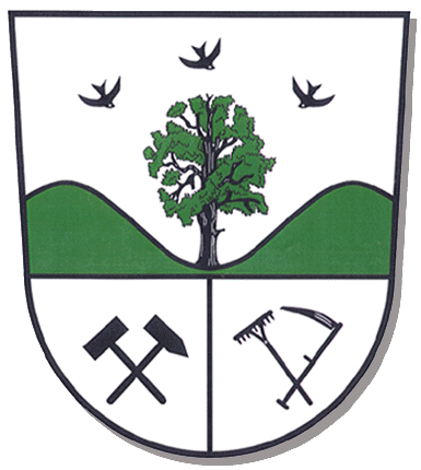 SG Vielau 07 e.V.
